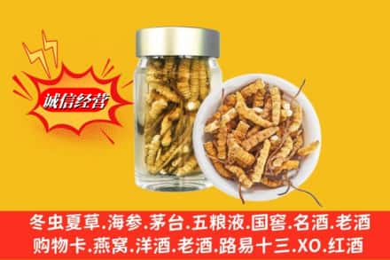 晋中平遥县回收散虫草